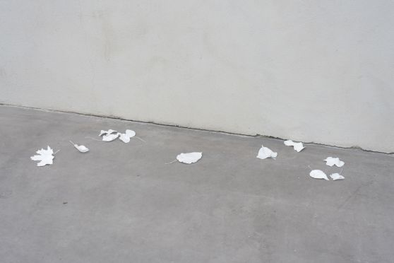 Benjamin_Mouly-Toucher_de_bouche-Tanneries_CACIN-014_WEB