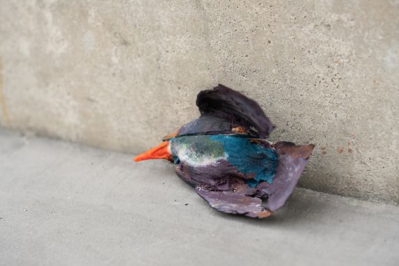 Benjamin_Mouly-Toucher_de_bouche-Tanneries_CACIN-059_WEB