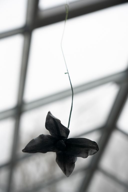 Benjamin_Mouly-Toucher_de_bouche-Tanneries_CACIN-077_WEB