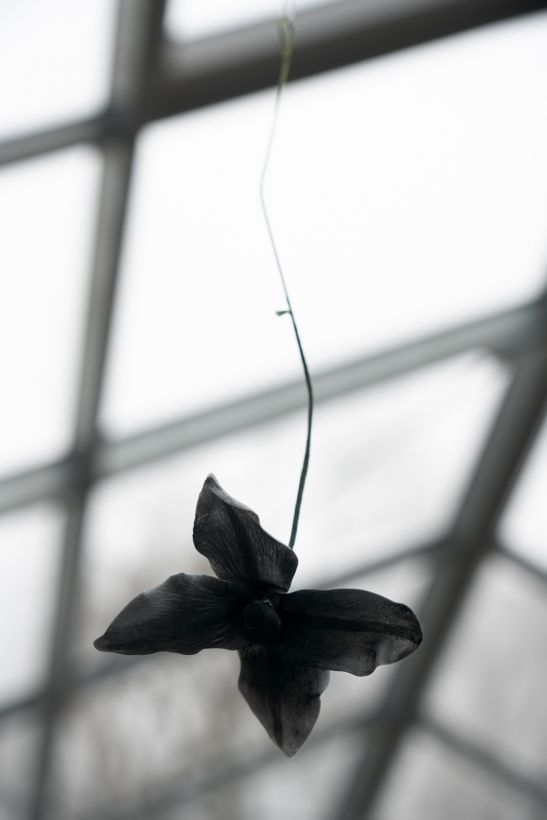 Benjamin_Mouly-Toucher_de_bouche-Tanneries_CACIN-077_WEB