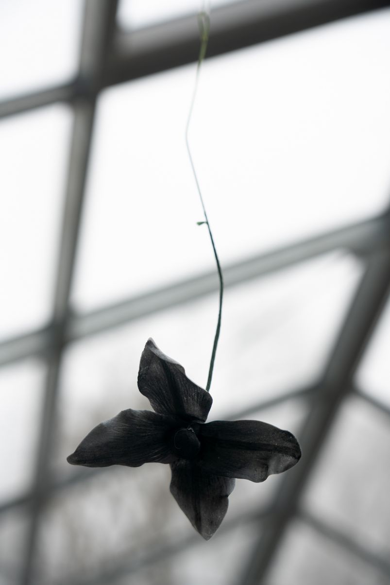 Benjamin_Mouly-Toucher_de_bouche-Tanneries_CACIN-077_WEB