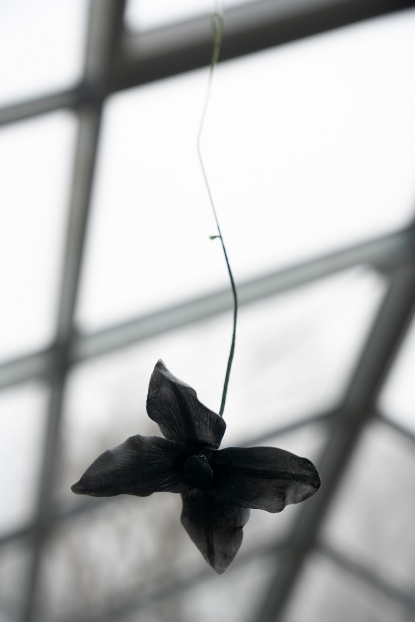 Benjamin_Mouly-Toucher_de_bouche-Tanneries_CACIN-077_WEB