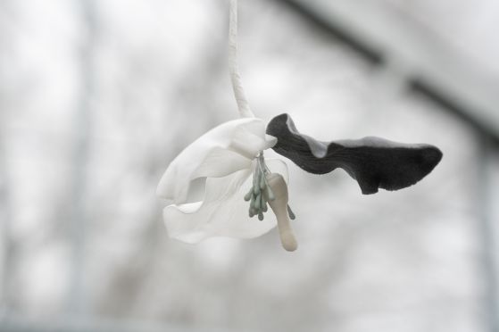 Benjamin_Mouly-Toucher_de_bouche-Tanneries_CACIN-083_WEB