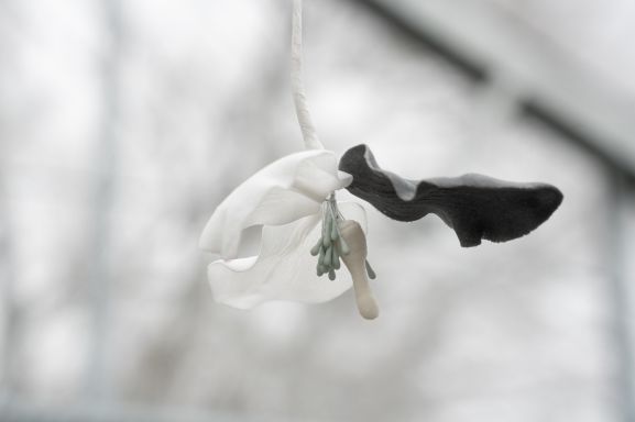 Benjamin_Mouly-Toucher_de_bouche-Tanneries_CACIN-083_WEB