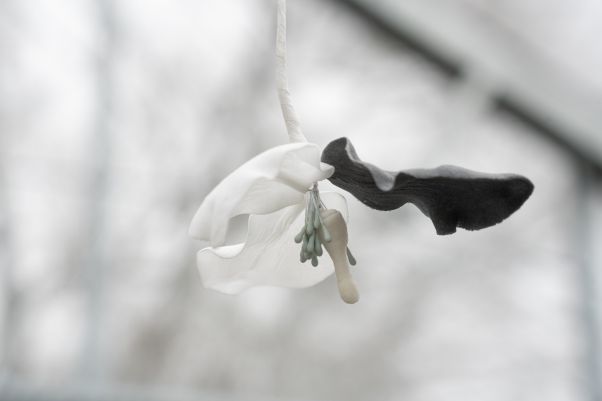 Benjamin_Mouly-Toucher_de_bouche-Tanneries_CACIN-083_WEB