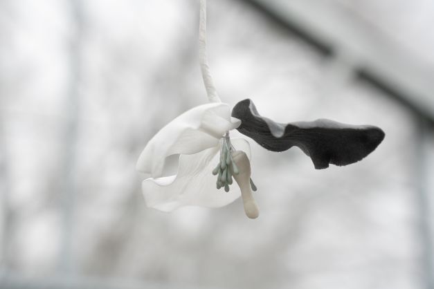 Benjamin_Mouly-Toucher_de_bouche-Tanneries_CACIN-083_WEB