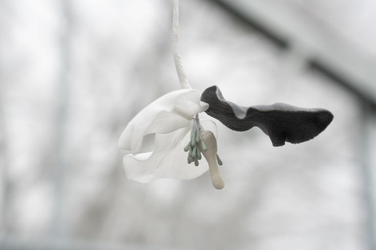Benjamin_Mouly-Toucher_de_bouche-Tanneries_CACIN-083_WEB