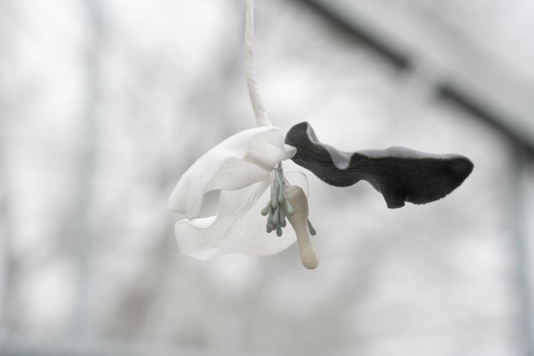 Benjamin_Mouly-Toucher_de_bouche-Tanneries_CACIN-083_WEB