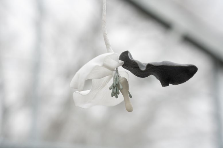 Benjamin_Mouly-Toucher_de_bouche-Tanneries_CACIN-083_WEB
