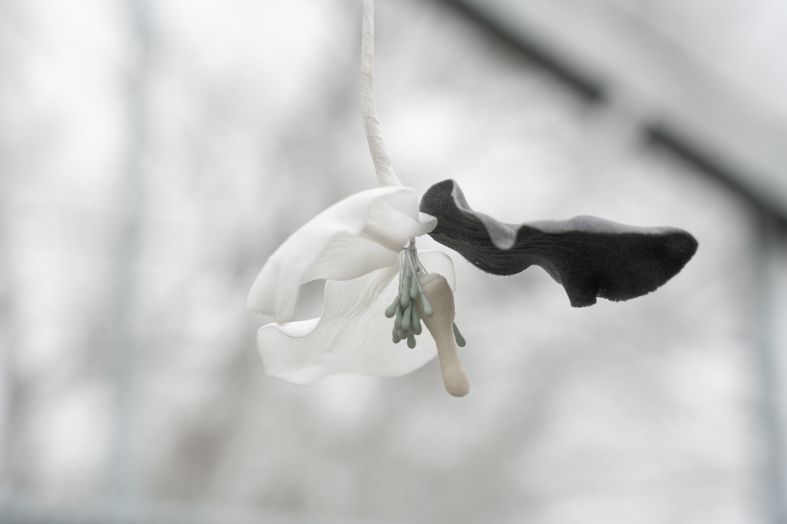 Benjamin_Mouly-Toucher_de_bouche-Tanneries_CACIN-083_WEB