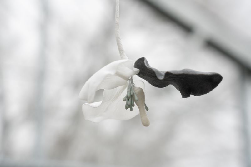 Benjamin_Mouly-Toucher_de_bouche-Tanneries_CACIN-083_WEB