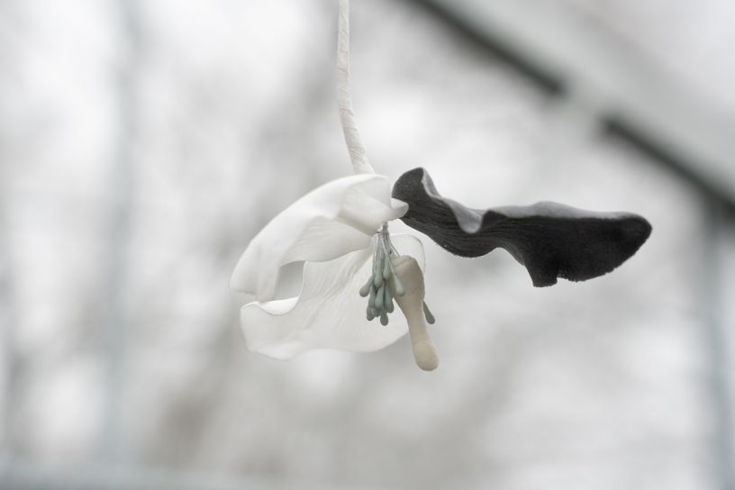 Benjamin_Mouly-Toucher_de_bouche-Tanneries_CACIN-083_WEB