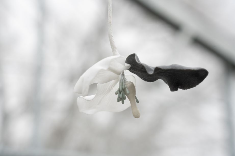 Benjamin_Mouly-Toucher_de_bouche-Tanneries_CACIN-083_WEB