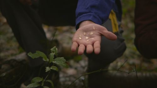 Benjamin_Mouly-Eaux-Douces-In_Watermelon_Sugar-20_WEB