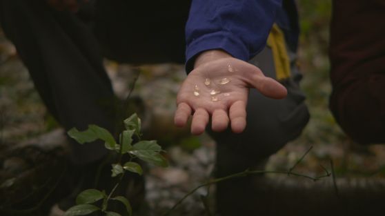 Benjamin_Mouly-Eaux-Douces-In_Watermelon_Sugar-20_WEB