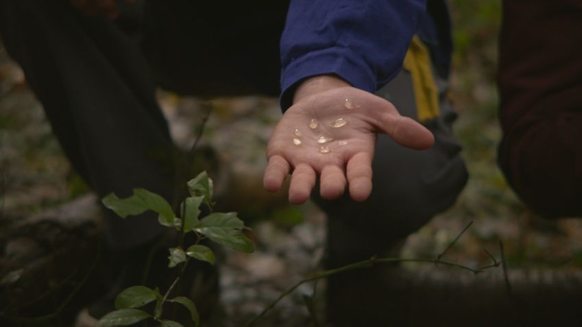 Benjamin_Mouly-Eaux-Douces-In_Watermelon_Sugar-20_WEB