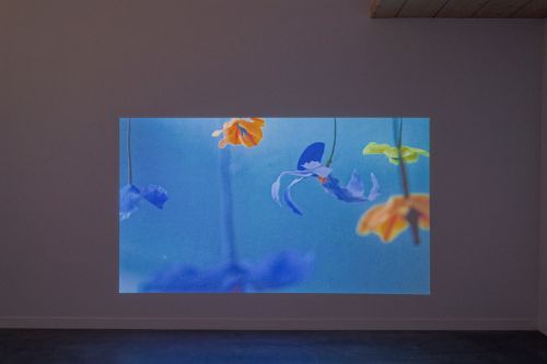 Benjamin_Mouly-Messe_basse-In_Watermelon_Sugar-14_WEB