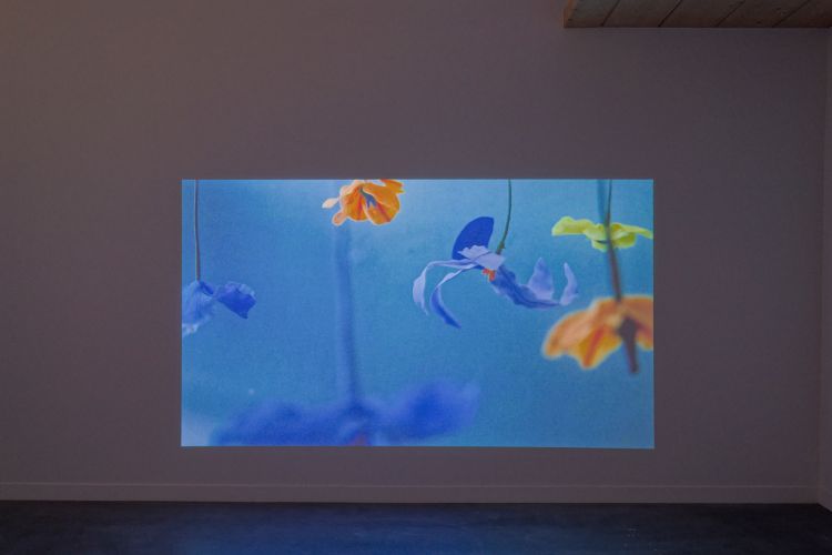 Benjamin_Mouly-Messe_basse-In_Watermelon_Sugar-14_WEB