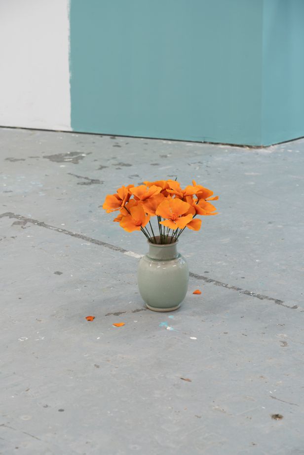 Benjamin_Mouly-PAC-California_Poppy-02_WEB