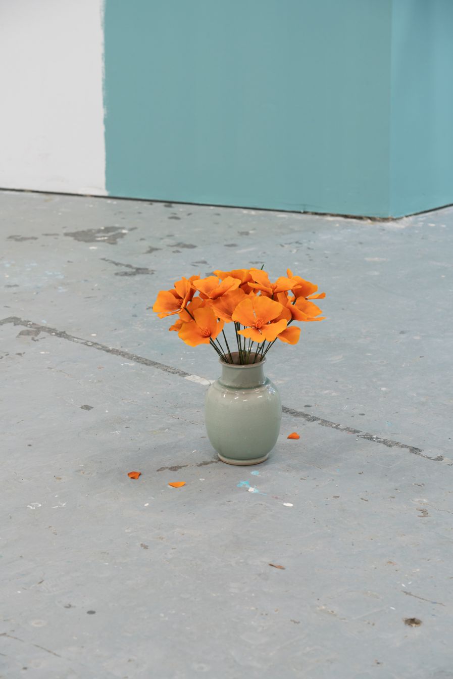 Benjamin_Mouly-PAC-California_Poppy-02_WEB