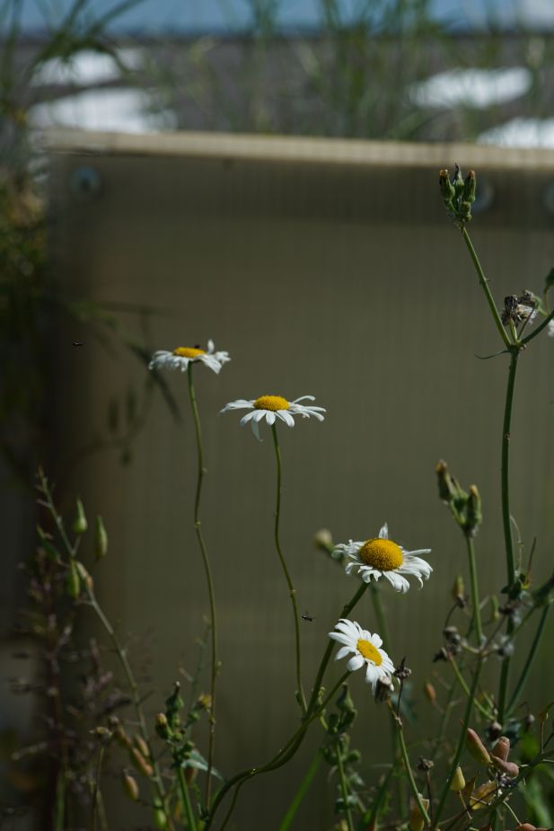 WELCOME-2023-Benjamin_Mouly-16