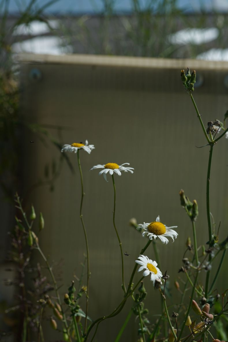 WELCOME-2023-Benjamin_Mouly-16